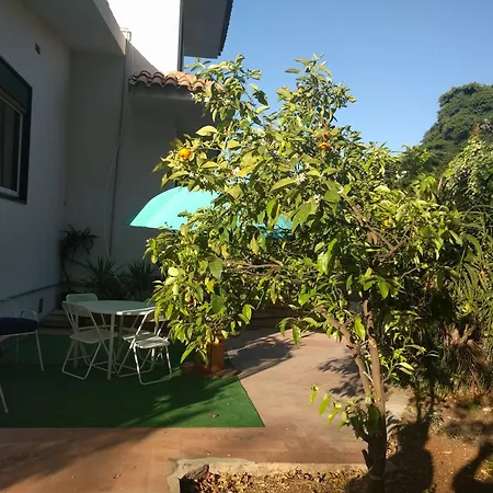 Rosalba - Cheap And Characteristic * Palermo